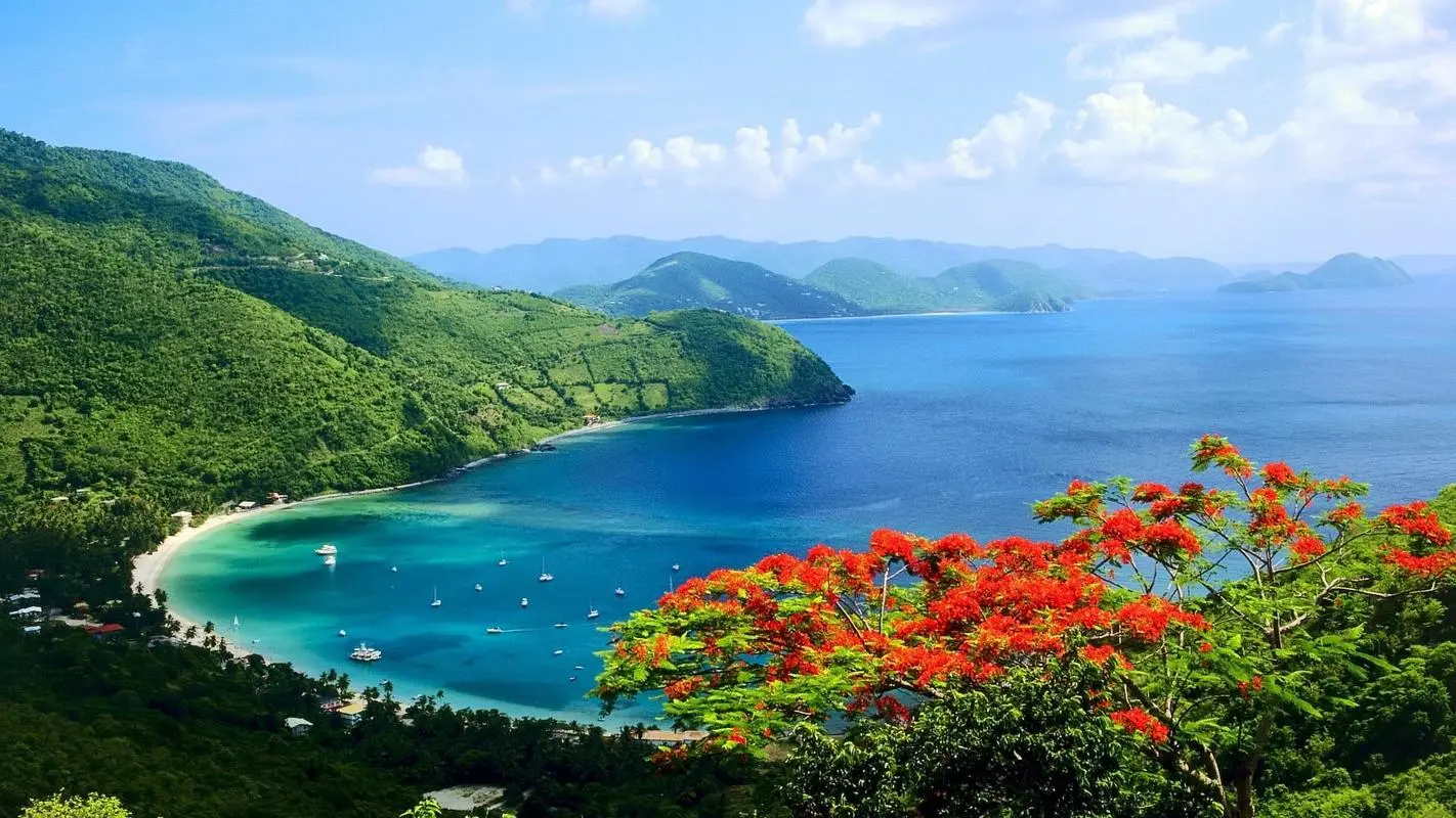 高精度全自动